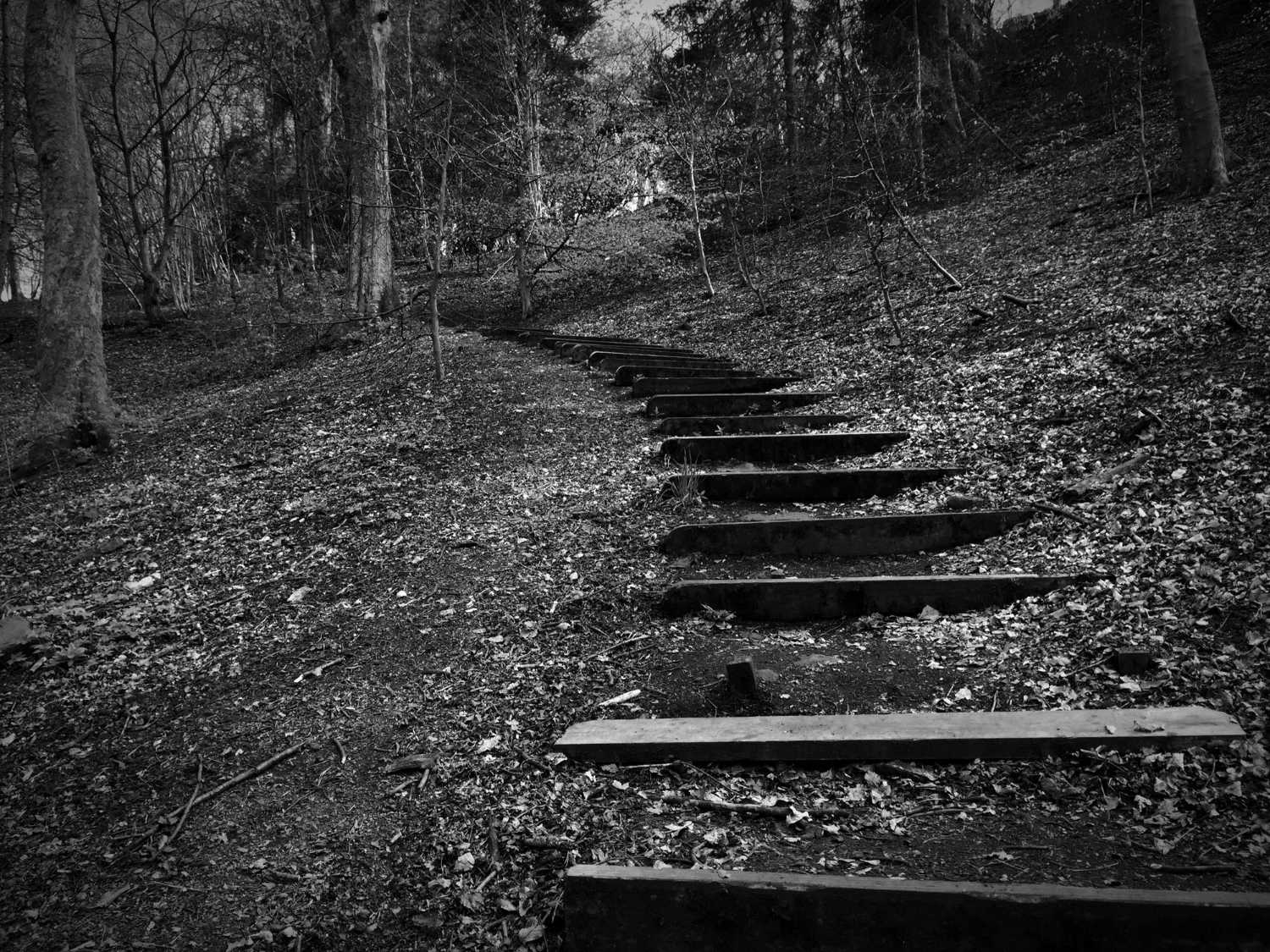 Det værste du kan gøre er at undgå følelser